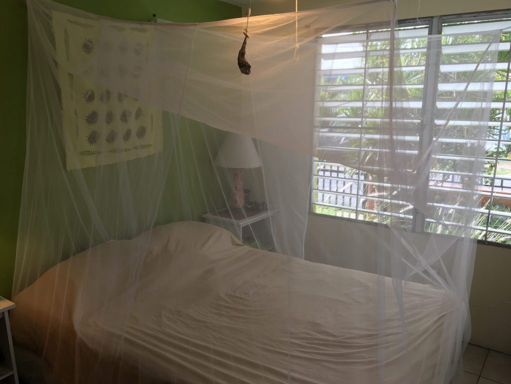Mosquito netting hanging over the bed